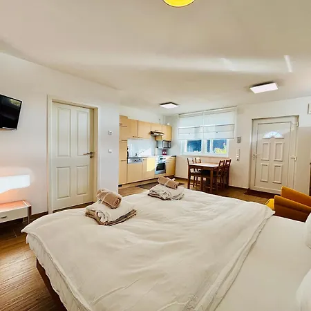 Alb-welle I Design-apartment Mit Privater Sauna & Badkap-naehe Appartement Albstadt