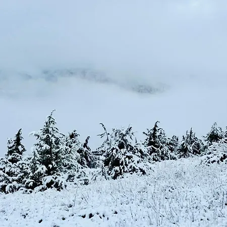 Erlebnisbad Badkap In 5 Minuten! Albstadt