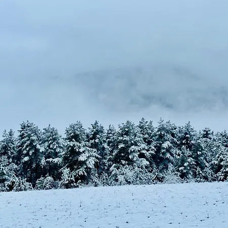 Erlebnisbad Badkap In 5 Minuten! Appartamento Albstadt